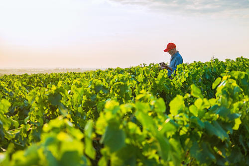 FBN是什么意思？跟亞馬遜FBA、FBM有什么關(guān)聯(lián)？